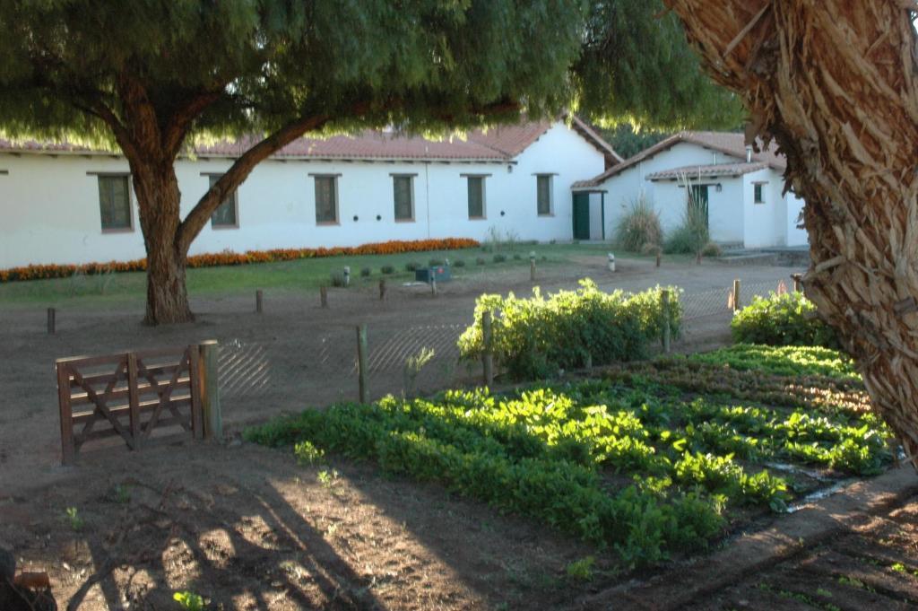 Hacienda De Molinos Hotel Buitenkant foto